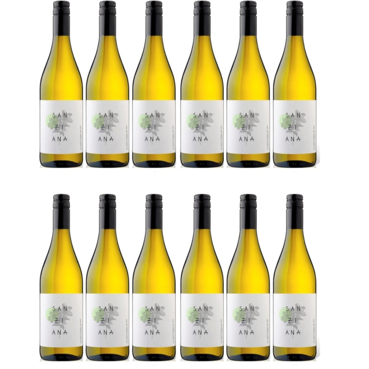 Cramele Recas Sanziana Sauvignon Blanc Weißwein Wein Trocken Rumänien (12 x 0,75l) - Versanel -