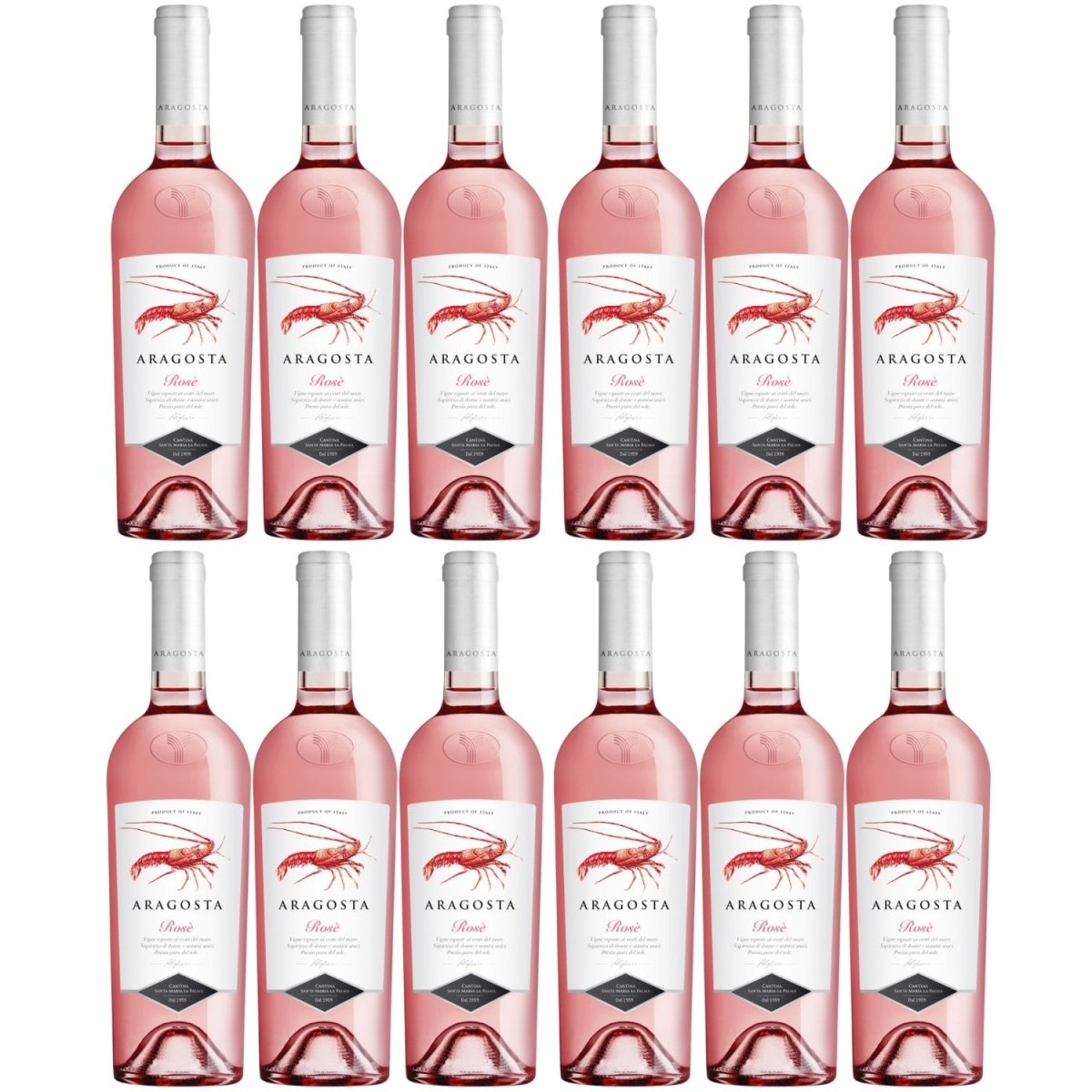 Aragosta rosé DOC Roséwein Wein trocken Sardinen Italien (12 x 0,75l) –  Versanel