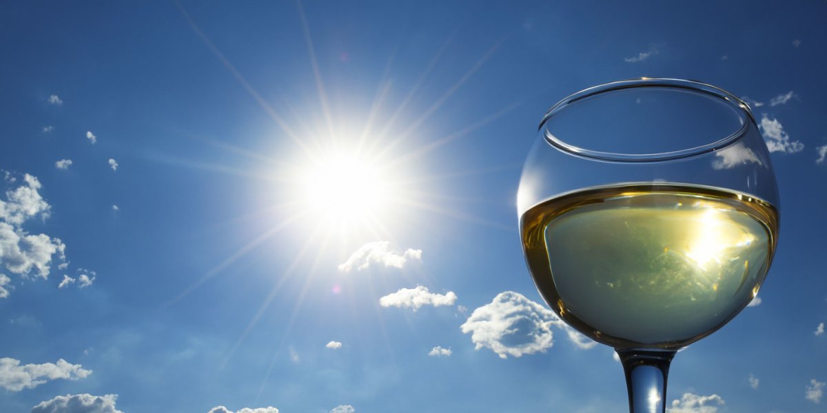 Miguel Torres Natureo Free Blanco - Ein erfrischender alkoholfreier Weißwein für heiße Tage - Versanel