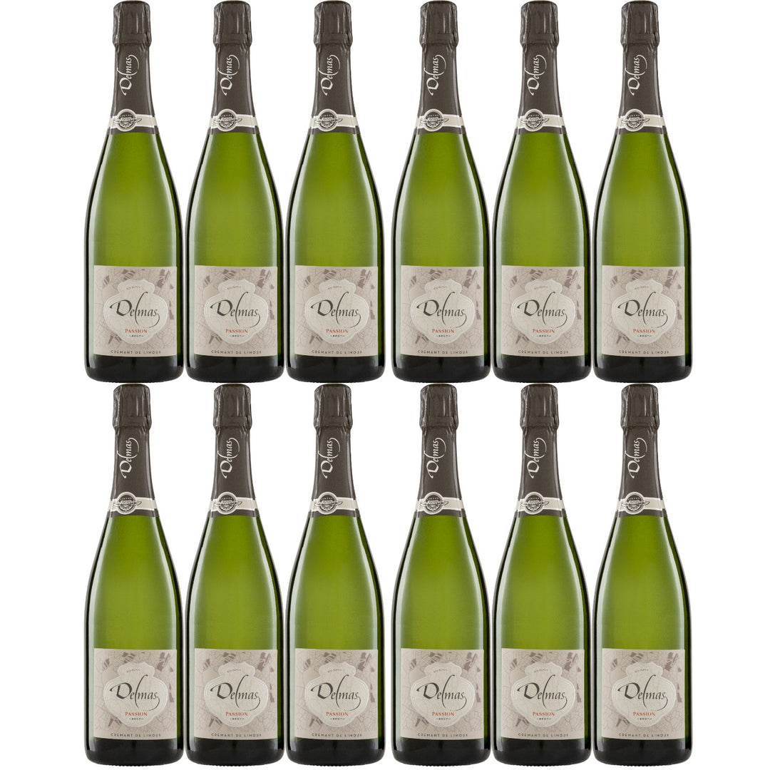 Domaine Delmas Crémant de Limoux Brut AOC Bio Schaumwein Frankreich (12 x 0,75l)