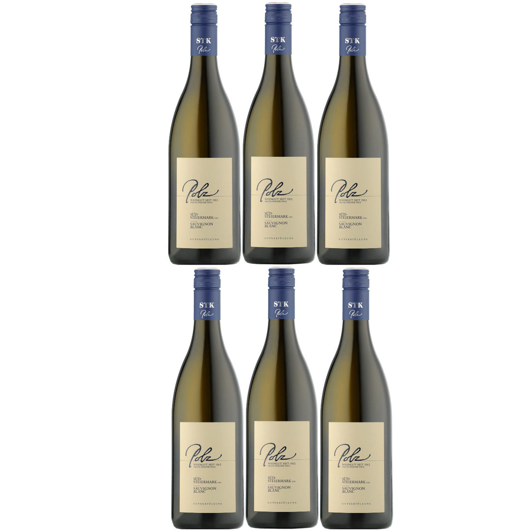 Weingut Polz Sauvignon Blanc Südsteiermark DAC Weißwein Wein trocken Österreich (6 x 0.75l)