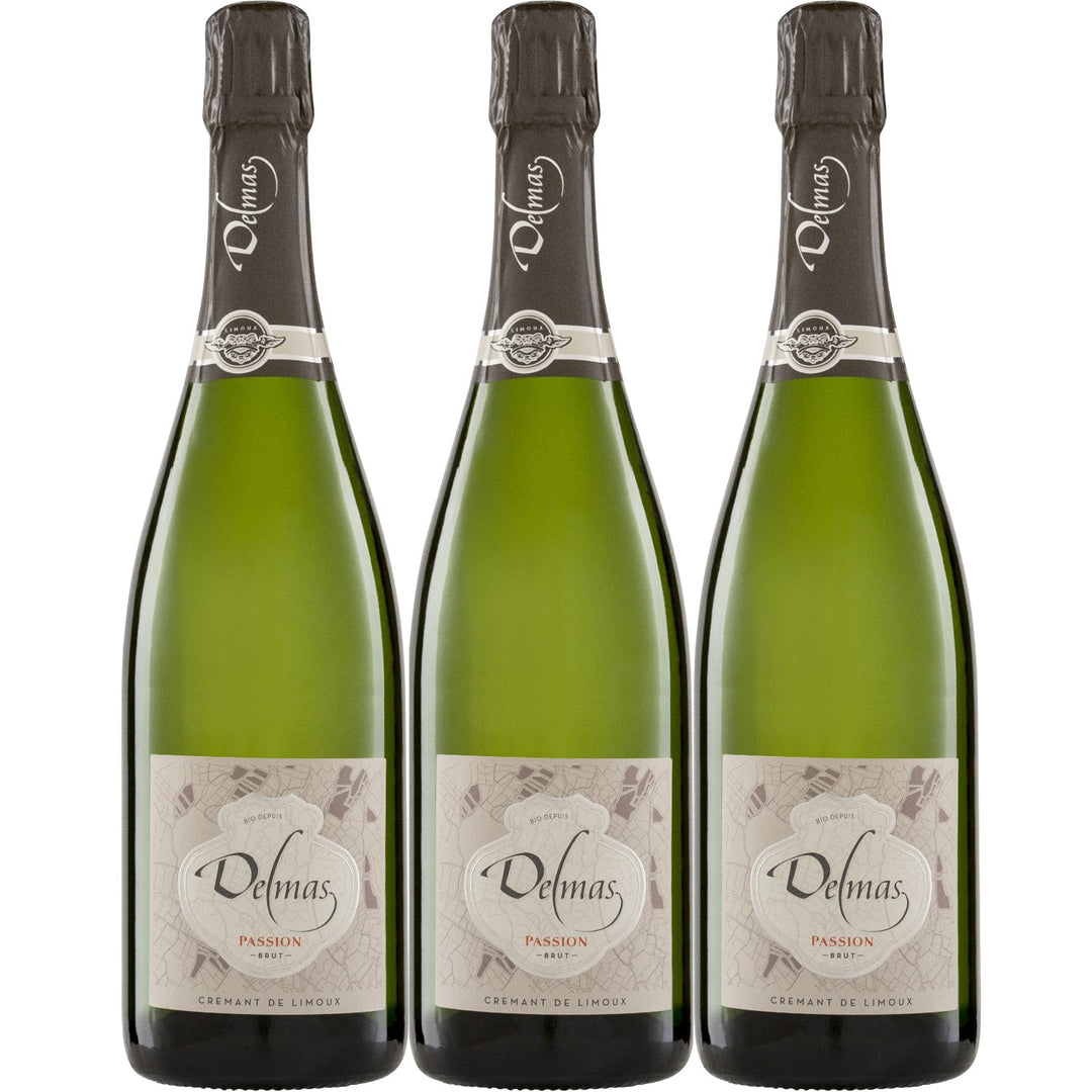 Domaine Delmas Crémant de Limoux Brut AOC Bio Schaumwein Frankreich (3 x 0,75l)