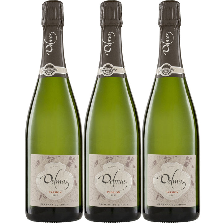 Domaine Delmas Crémant de Limoux Brut AOC Bio Schaumwein Frankreich (3 x 0,75l)