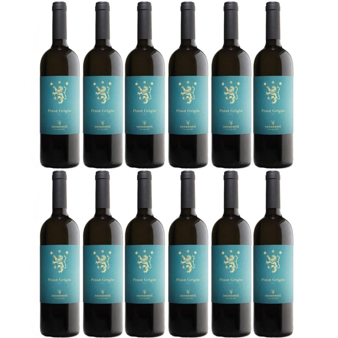 Antonutti Pinot Grigio Weißwein weiß trocken Friaul Italien (12 x 0,75l) - Versanel - Wein