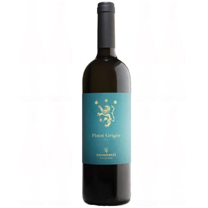 Antonutti Pinot Grigio Weißwein weiß trocken Friaul Italien (12 x 0,75l) - Versanel - Wein