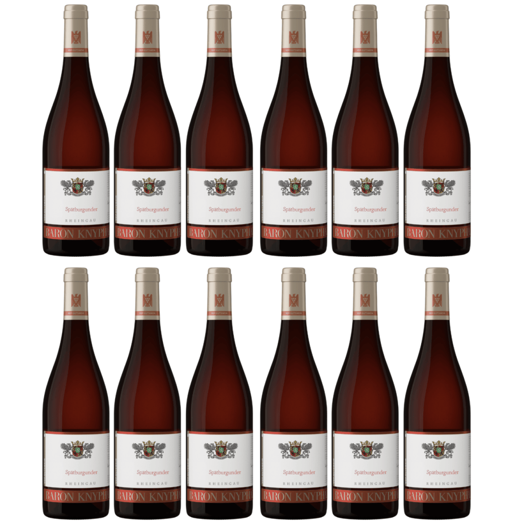 Baron Knyphausen Spätburgunder VDP.GUTSWEIN Rotwein Trocken Rheingau Deutschland (12 x 0,75l) - Versanel - Wein