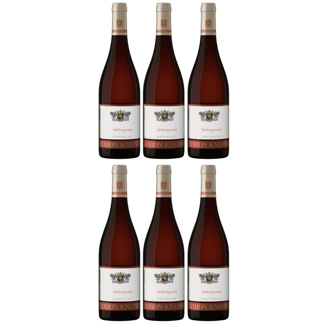 Baron Knyphausen Spätburgunder VDP.GUTSWEIN Rotwein Trocken Rheingau Deutschland (6 x 0,75l) - Versanel - Wein