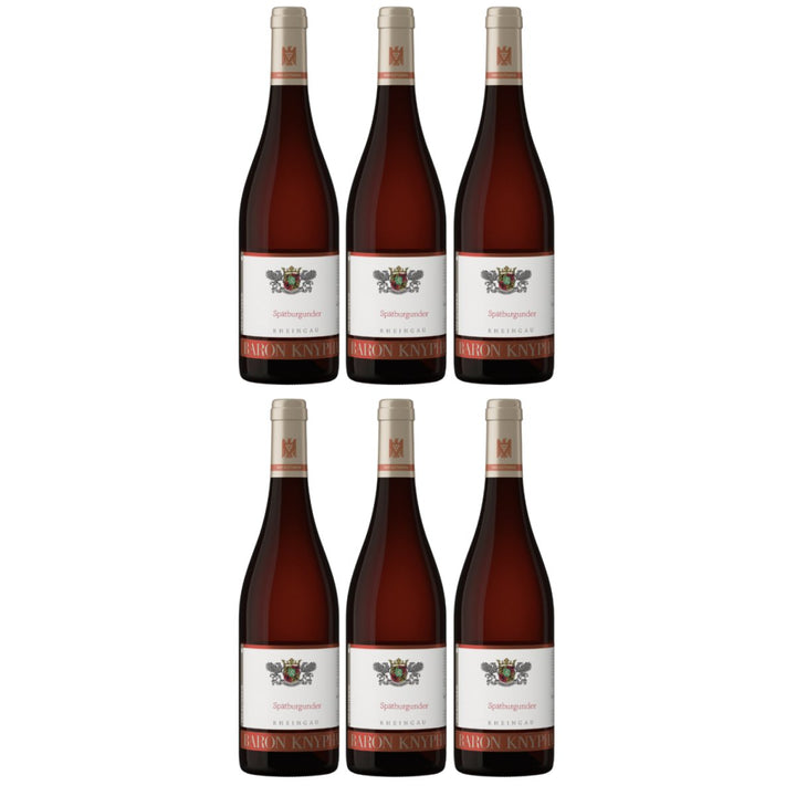 Baron Knyphausen Spätburgunder VDP.GUTSWEIN Rotwein Trocken Rheingau Deutschland (6 x 0,75l) - Versanel - Wein