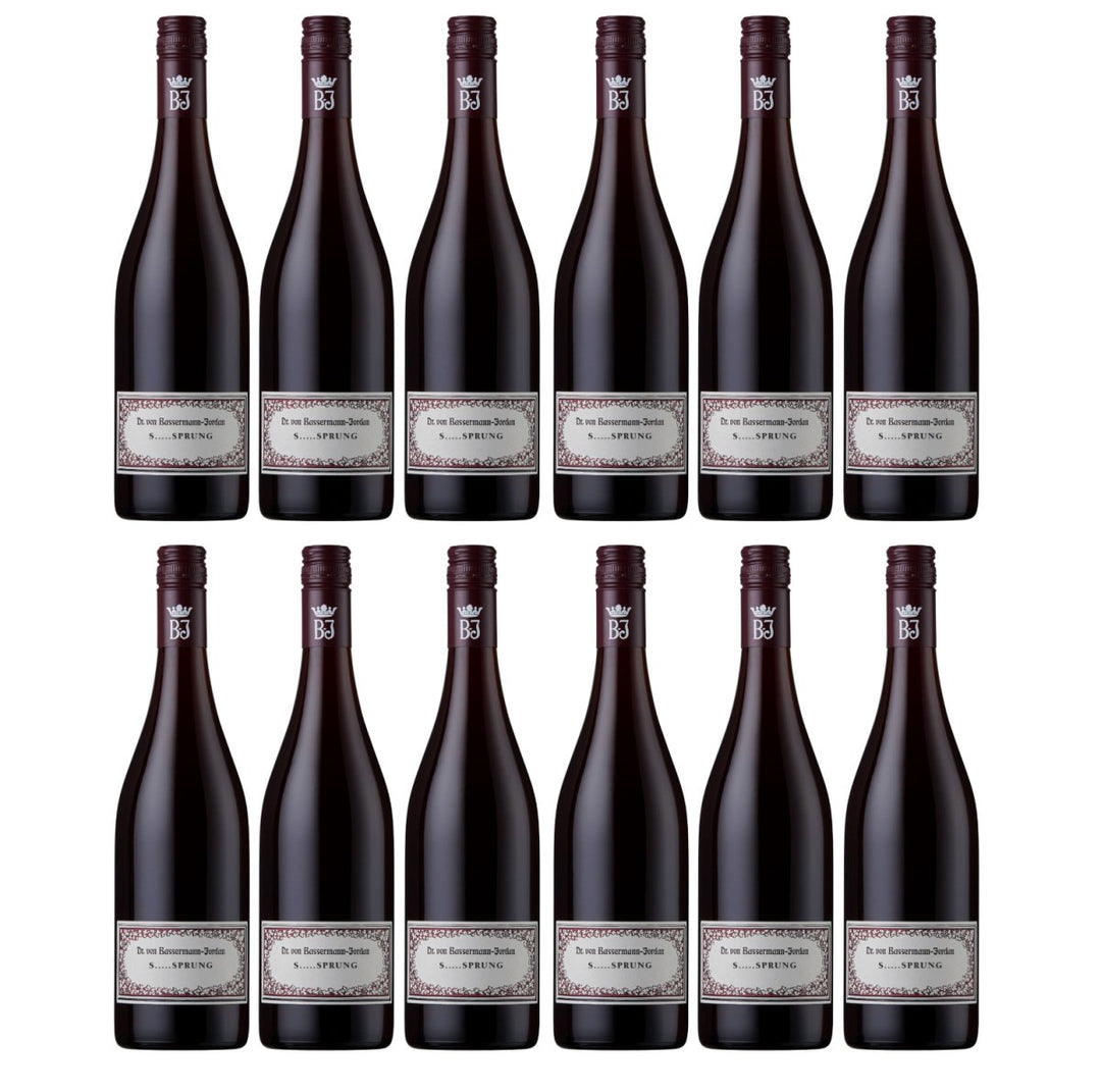 Bassermann - Jordan S SPRUNG Rotwein Cuvée Wein Trocken Pfalz Deutschland (12 x 0,75l) - Versanel - Wein
