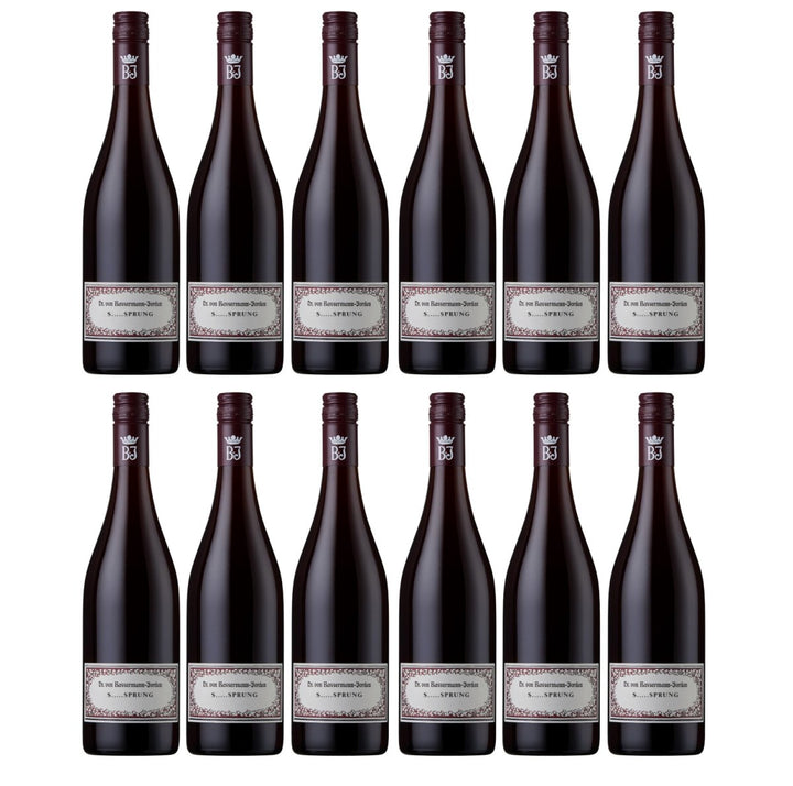 Bassermann - Jordan S SPRUNG Rotwein Cuvée Wein Trocken Pfalz Deutschland (12 x 0,75l) - Versanel - Wein