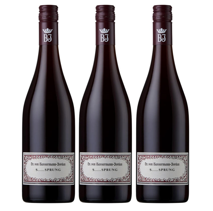 Bassermann - Jordan S SPRUNG Rotwein Cuvée Wein Trocken Pfalz Deutschland (3 x 0,75l) - Versanel - Wein