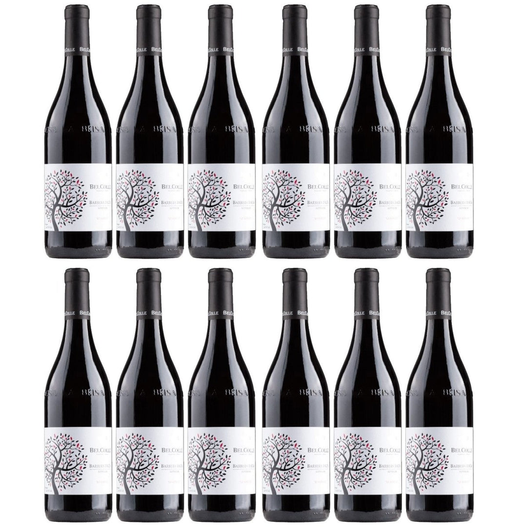Bel Colle Barbera d'Alba Le Masche Barrique Superiore DOC Rotwein Wein Trocken Piemont Italien (12 x 0,75l) - Versanel - 