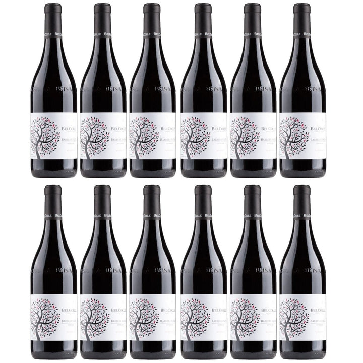 Bel Colle Barbera d'Alba Le Masche Barrique Superiore DOC Rotwein Wein Trocken Piemont Italien (12 x 0,75l) - Versanel - 