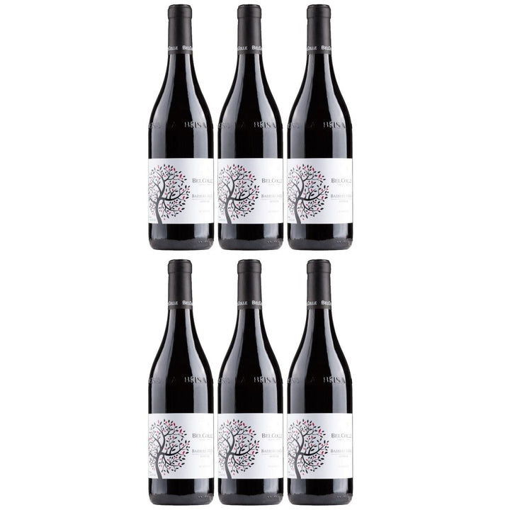 Bel Colle Barbera d'Alba Le Masche Barrique Superiore DOC Rotwein Wein Trocken Piemont Italien (6 x 0,75l) - Versanel - 
