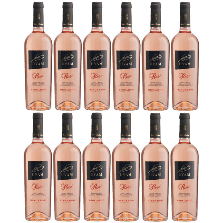 Biscardo UVAM Pinot Grigio Blush Rosato Roséwein Wein Trocken Rosé Italien (12 x 0,75l) - Versanel - 