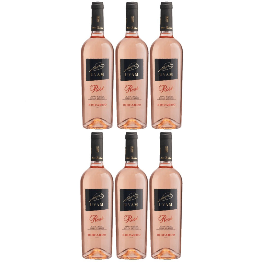 Biscardo UVAM Pinot Grigio Blush Rosato Roséwein Wein Trocken Rosé Italien (6 x 0,75l) - Versanel - 