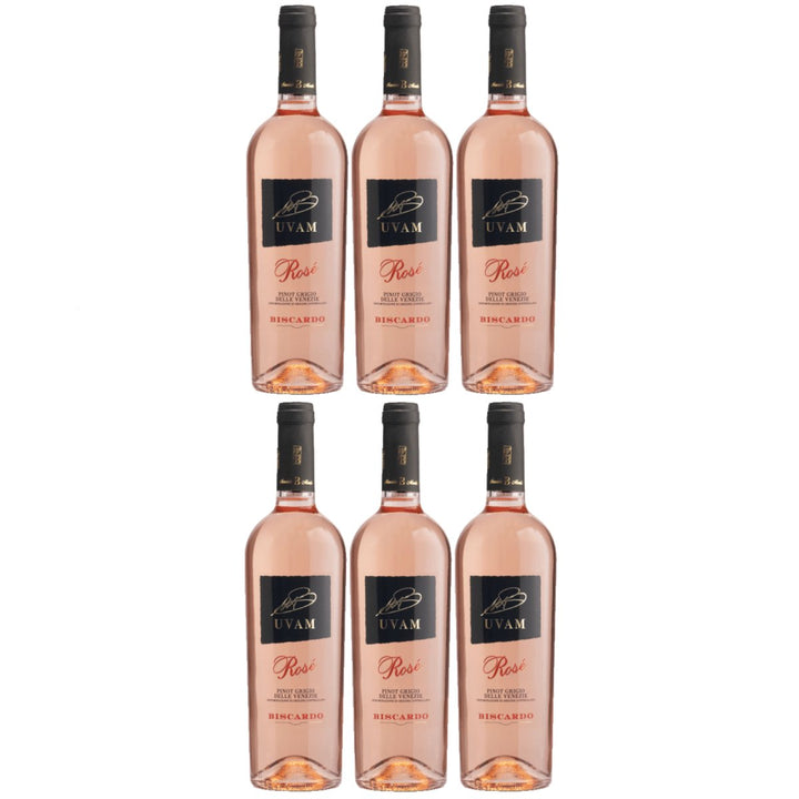 Biscardo UVAM Pinot Grigio Blush Rosato Roséwein Wein Trocken Rosé Italien (6 x 0,75l) - Versanel - 