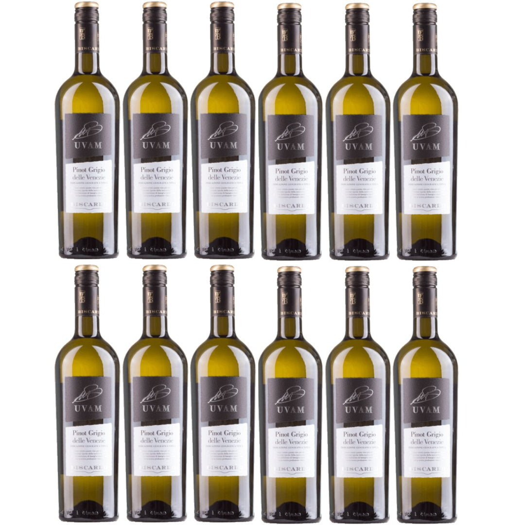 Biscardo UVAM Pinot Grigio delle Venezie Weisswein Trocken Weiß Italien (12 x 0,75l) - Versanel - 