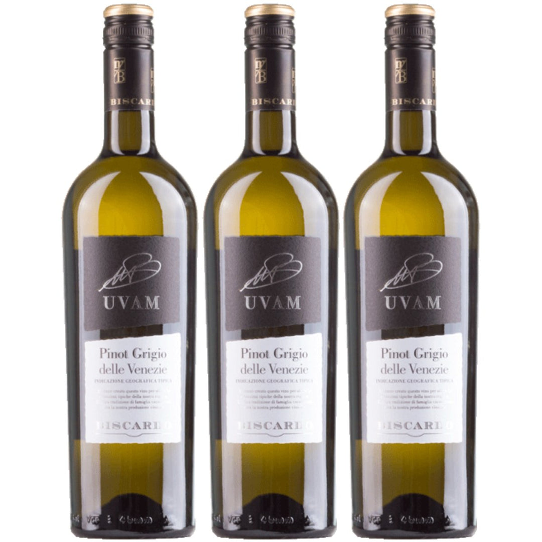 Biscardo UVAM Pinot Grigio delle Venezie Weisswein Trocken Weiß Italien (3 x 0,75l) - Versanel - 