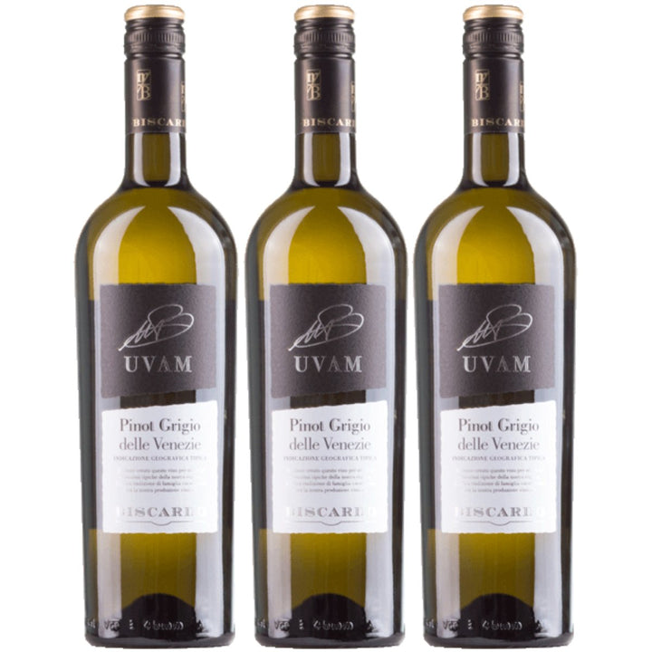 Biscardo UVAM Pinot Grigio delle Venezie Weisswein Trocken Weiß Italien (3 x 0,75l) - Versanel - 
