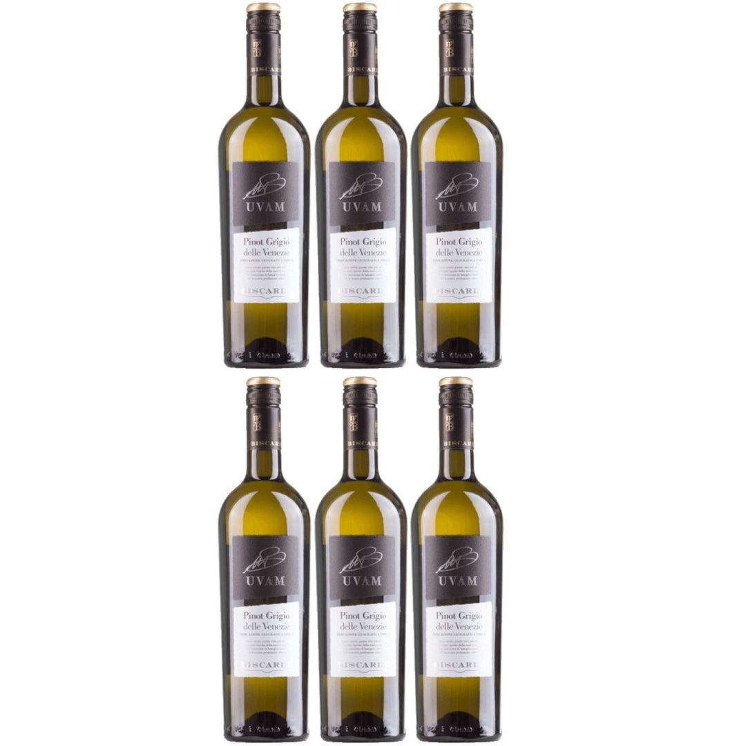 Biscardo UVAM Pinot Grigio delle Venezie Weisswein Trocken Weiß Italien (6 x 0,75l) - Versanel - 