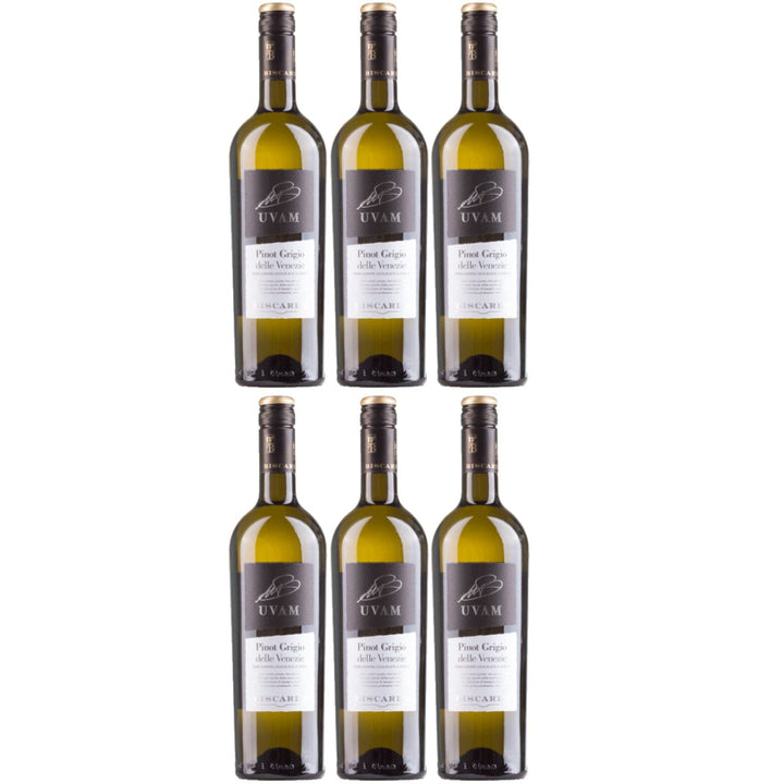 Biscardo UVAM Pinot Grigio delle Venezie Weisswein Trocken Weiß Italien (6 x 0,75l) - Versanel - 