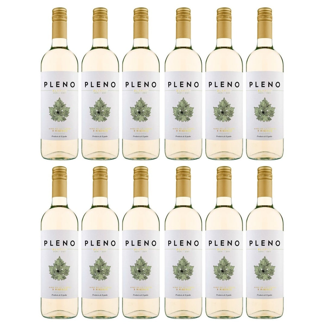 Bodegas Agronavarra Pleno Blanco Semi - Dry Halbtrocken Weißwein Vegan Spanien (12 x 0,75 l) - Versanel - 