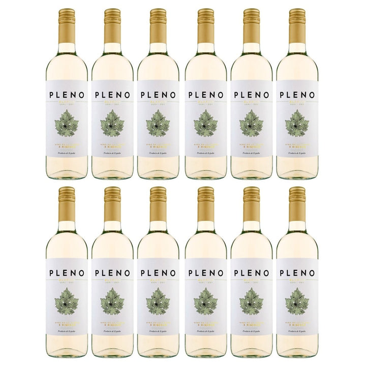 Bodegas Agronavarra Pleno Blanco Semi - Dry Halbtrocken Weißwein Vegan Spanien (12 x 0,75 l) - Versanel - 
