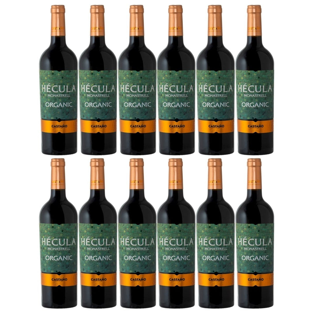 Bodegas Castaño Hécula Trocken Rotwein Bio Vegan Spanien (12 x 0,75 l) - Versanel - 