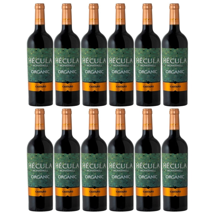 Bodegas Castaño Hécula Trocken Rotwein Bio Vegan Spanien (12 x 0,75 l) - Versanel - 