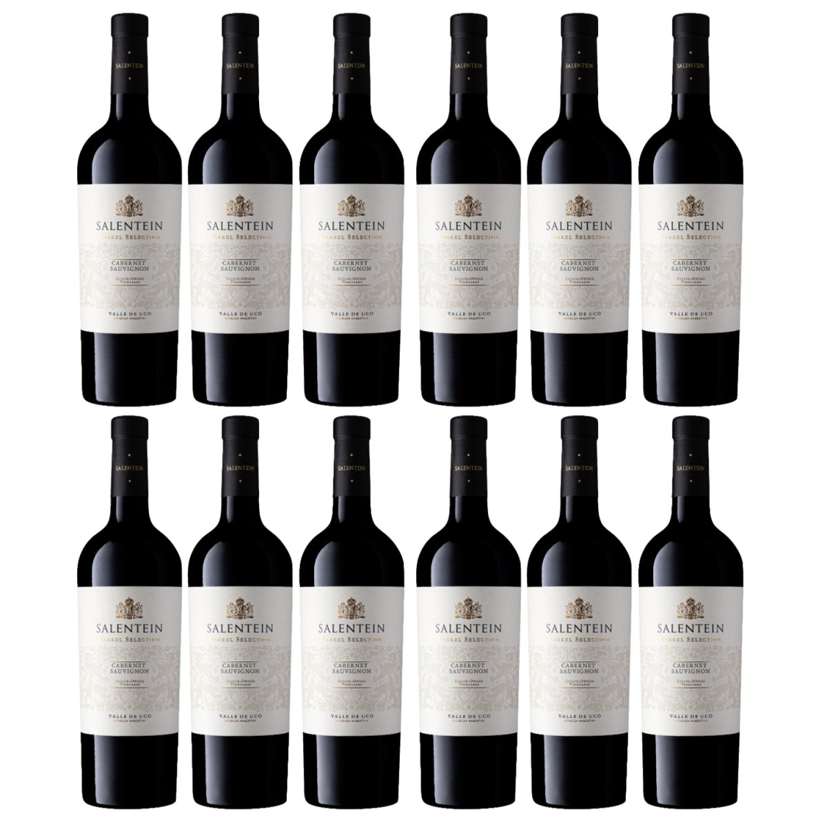 Bodegas Salentein Barrel Selection Cabernet Sauvignon Rotwein Wein trocken Argentinien (12 x 0.75l) - Versanel - Wein