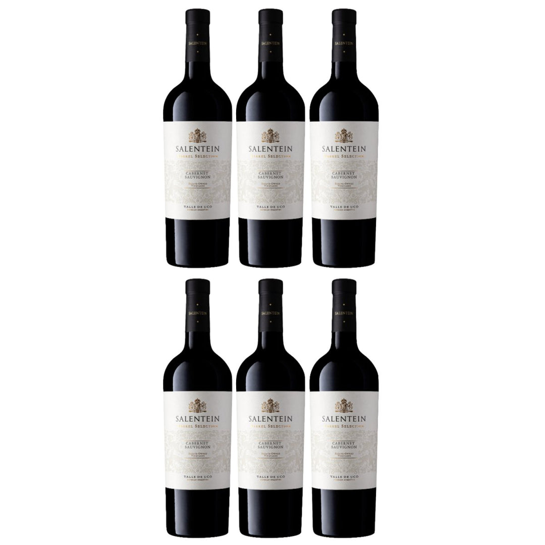 Bodegas Salentein Barrel Selection Cabernet Sauvignon Rotwein Wein trocken Argentinien (6 x 0.75l) - Versanel - Wein