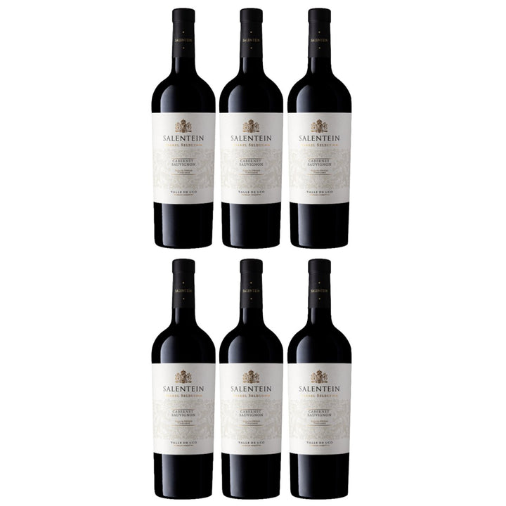 Bodegas Salentein Barrel Selection Cabernet Sauvignon Rotwein Wein trocken Argentinien (6 x 0.75l) - Versanel - Wein