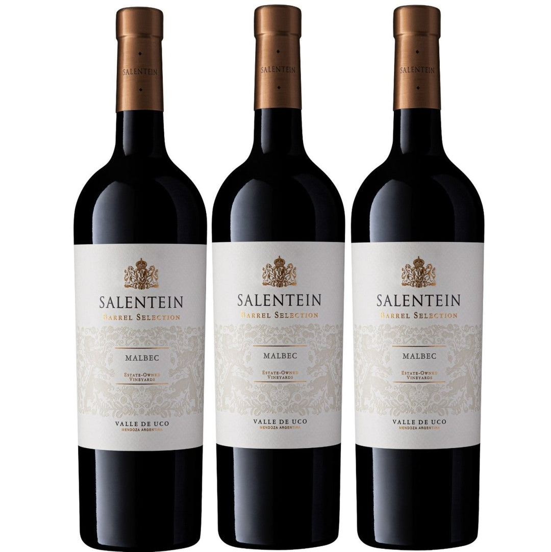 Bodegas Salentein Barrel Selection Malbec Rotwein Wein trocken Argentinien (3 x 0.75l) - Versanel - Wein