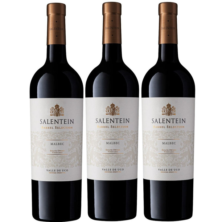 Bodegas Salentein Barrel Selection Malbec Rotwein Wein trocken Argentinien (3 x 0.75l) - Versanel - Wein