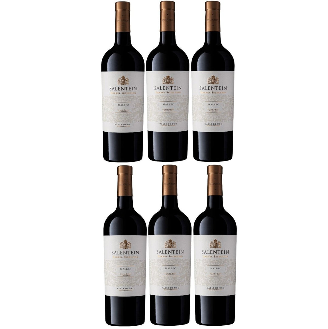 Bodegas Salentein Barrel Selection Malbec Rotwein Wein trocken Argentinien (6 x 0.75l) - Versanel - Wein
