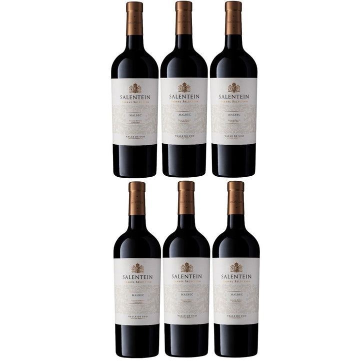 Bodegas Salentein Barrel Selection Malbec Rotwein Wein trocken Argentinien (6 x 0.75l) - Versanel - Wein