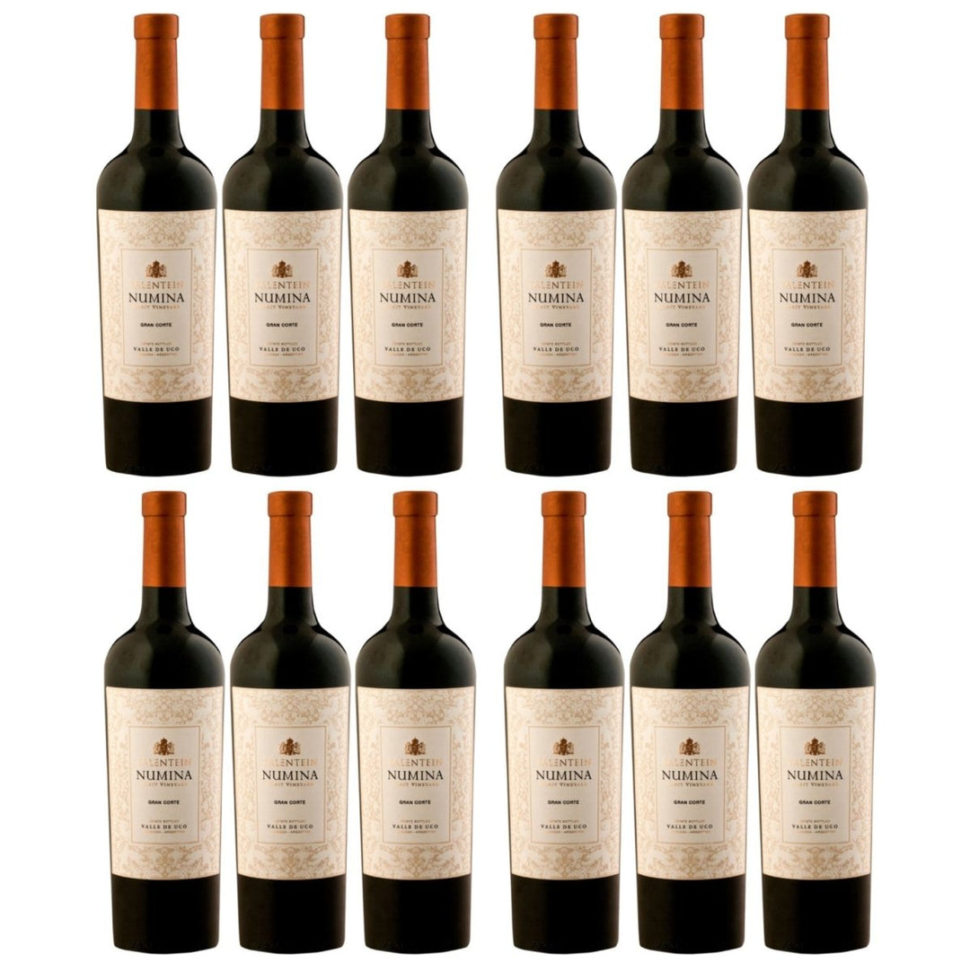 Bodegas Salentein Numina Gran Corte Rotwein Wein Trocken Mendoza Argentinien (12 x 0,75l) - Versanel - Wein