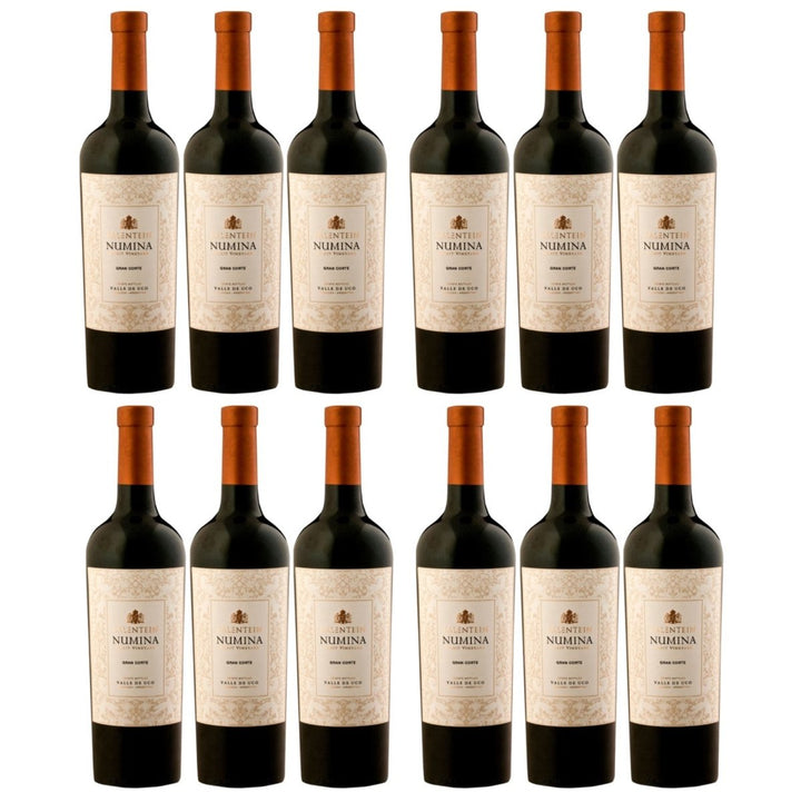 Bodegas Salentein Numina Gran Corte Rotwein Wein Trocken Mendoza Argentinien (12 x 0,75l) - Versanel - Wein