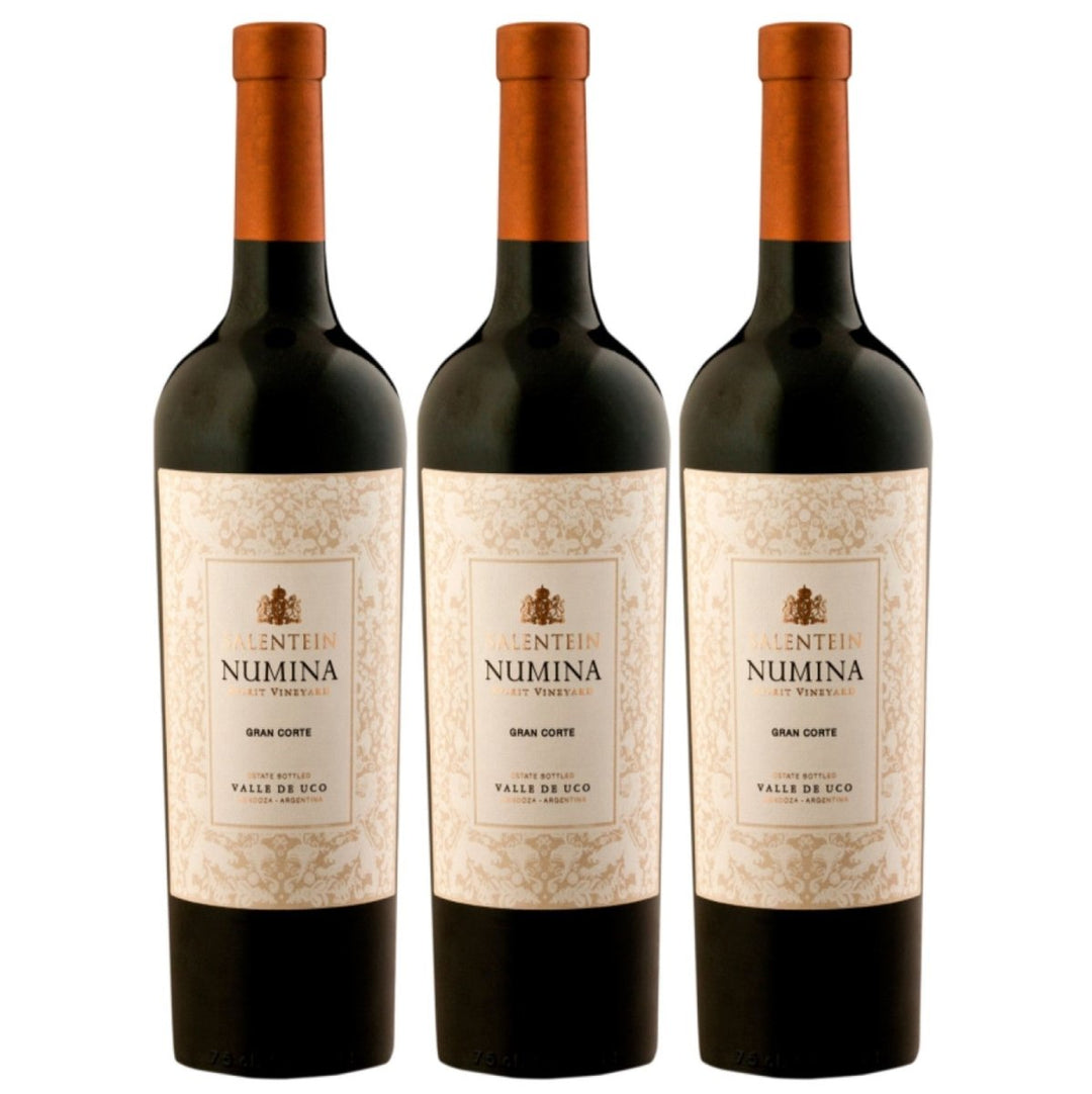 Bodegas Salentein Numina Gran Corte Rotwein Wein Trocken Mendoza Argentinien (3 x 0,75l) - Versanel - Wein