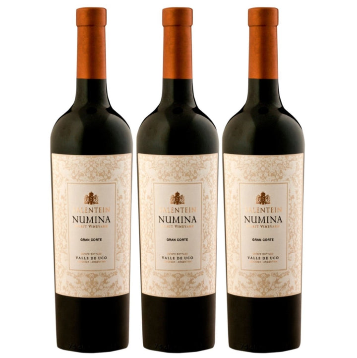 Bodegas Salentein Numina Gran Corte Rotwein Wein Trocken Mendoza Argentinien (3 x 0,75l) - Versanel - Wein