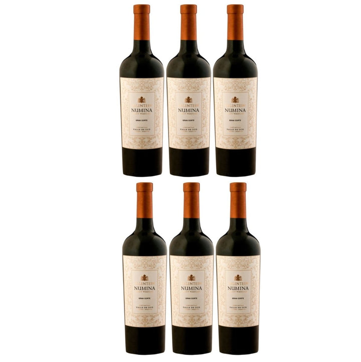 Bodegas Salentein Numina Gran Corte Rotwein Wein Trocken Mendoza Argentinien (6 x 0,75l) - Versanel - Wein