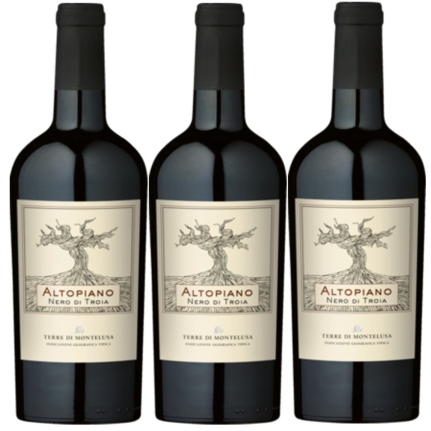 Terre di Montelusa Altopiano Nero di Troia Puglia Rotwein Wein trocken IGT Italien (3 x 0.75l)