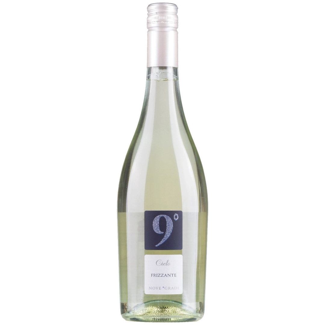 Cielo e Terra Frizzante Garganega Bianco Schaumwein Wein Italien (12 x 0,75l) - Versanel - 