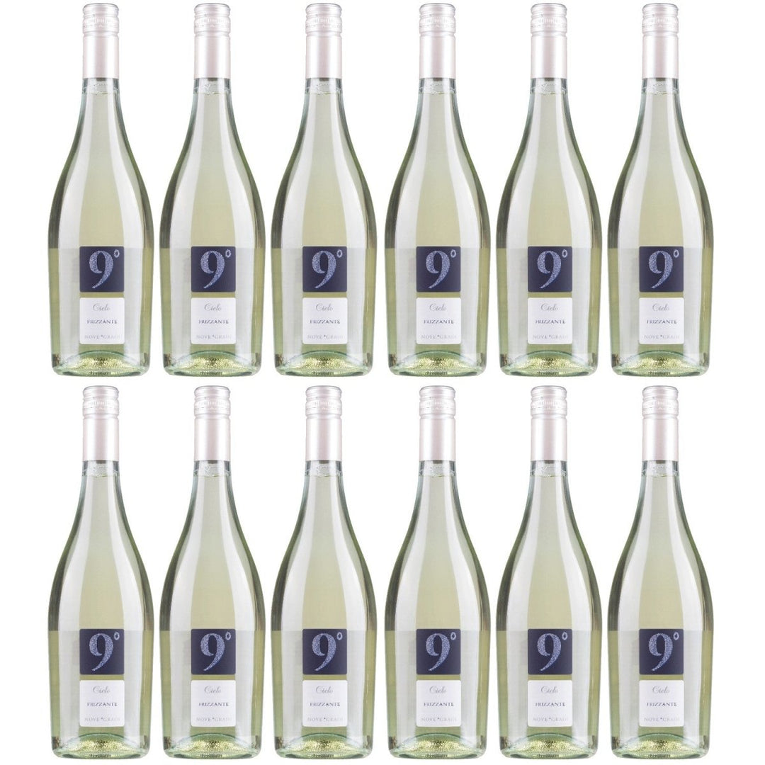 Cielo e Terra Frizzante Garganega Bianco Schaumwein Wein Italien (12 x 0,75l) - Versanel - 