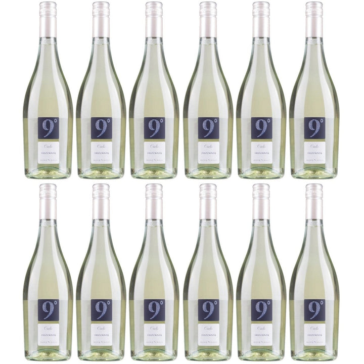 Cielo e Terra Frizzante Garganega Bianco Schaumwein Wein Italien (12 x 0,75l) - Versanel - 