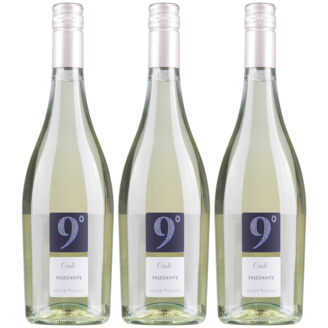 Cielo e Terra Frizzante Garganega Bianco Schaumwein Wein Italien (3 x 0,75l) - Versanel - 
