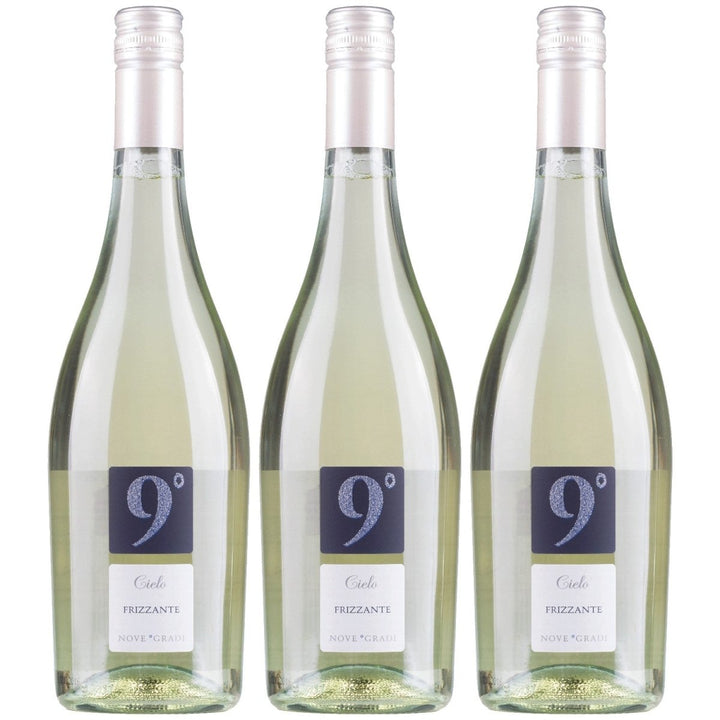 Cielo e Terra Frizzante Garganega Bianco Schaumwein Wein Italien (3 x 0,75l) - Versanel - 
