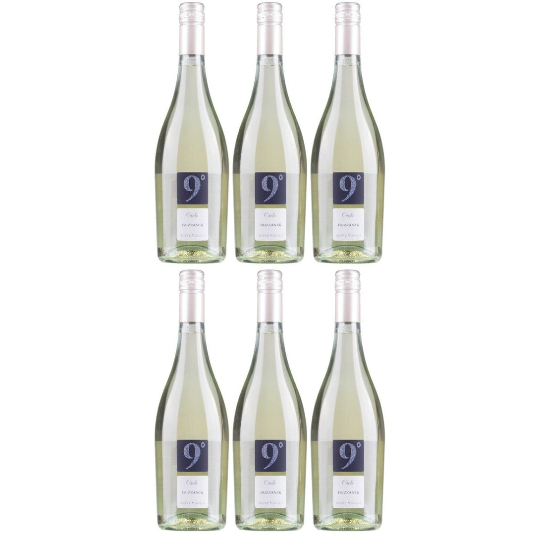 Cielo e Terra Frizzante Garganega Bianco Schaumwein Wein Italien (6 x 0,75l) - Versanel - 