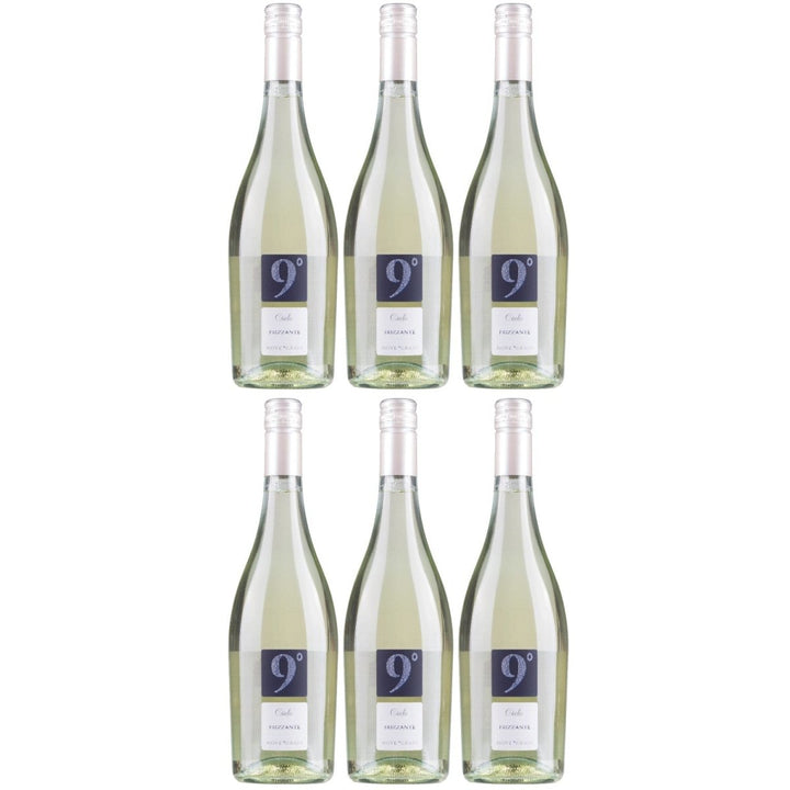 Cielo e Terra Frizzante Garganega Bianco Schaumwein Wein Italien (6 x 0,75l) - Versanel - 